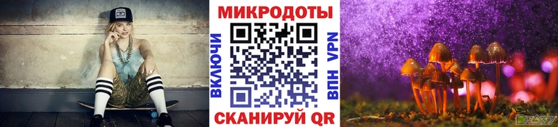 Галлюциногенные грибы Psilocybine cubensis  где продают наркотики  Копейск 