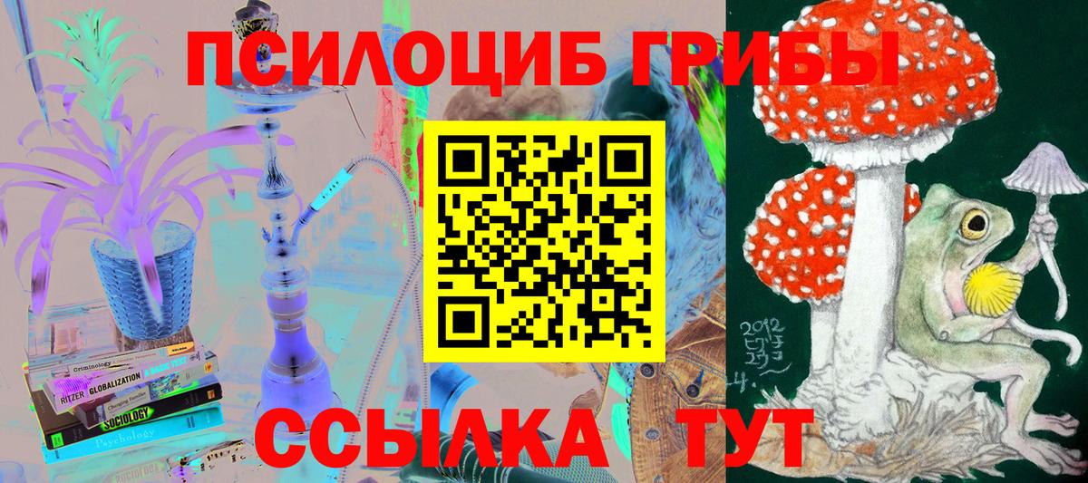 Псилоцибиновые грибы Magic Shrooms  Вход с VPN  Галлюциногенные грибы Magic Shrooms  Копейск 